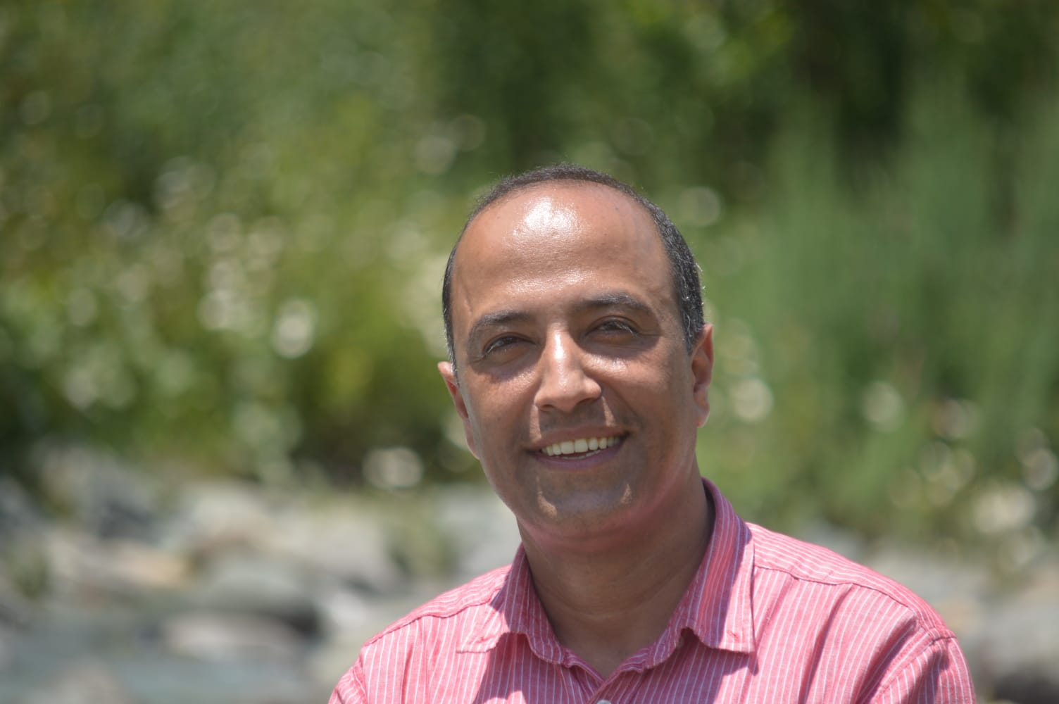 Prof. Sumeer Gul Chairperson,